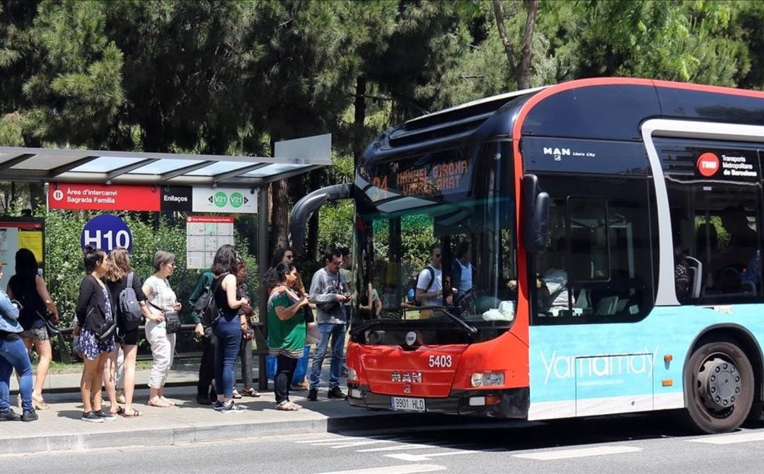 autobuses para el transporte público