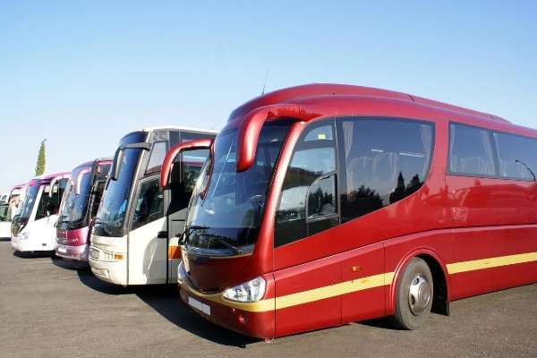autobuses limpios